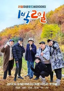 向往的生活 第8季 综艺 2025 王征宇